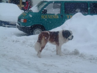O minivacanta reusita...