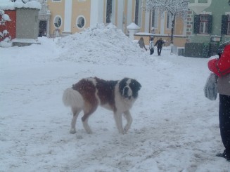 O minivacanta reusita...