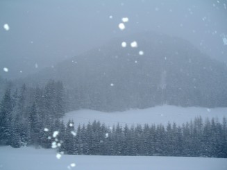 O minivacanta reusita...