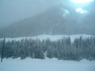 O minivacanta reusita...