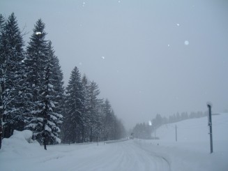 O minivacanta reusita...