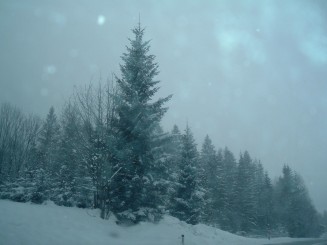 O minivacanta reusita...