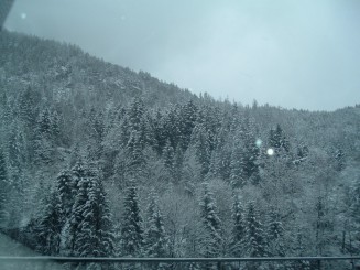 O minivacanta reusita...