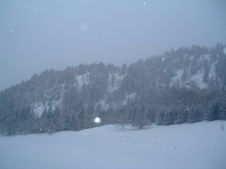 O minivacanta reusita...