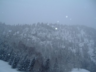 O minivacanta reusita...