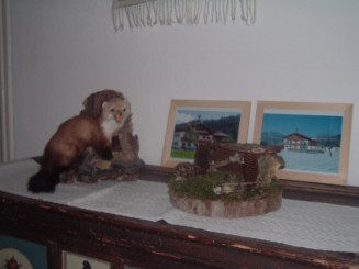 O minivacanta reusita...