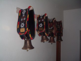 O minivacanta reusita...