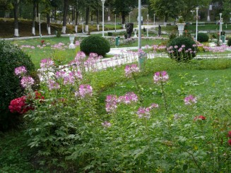 Parcul central