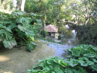 cascada si puntea suspinelor