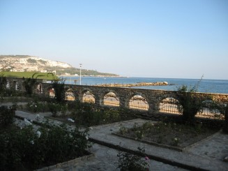 aleea de trandafiri in curtea englezeasca