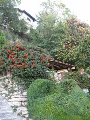 gradina ghetsemani