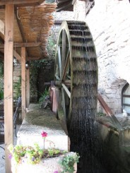 vila moara