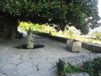 coltul  magnolia