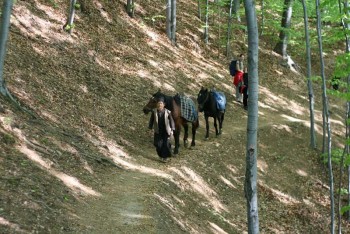 singurul mod de aprovizionare la patrunsa