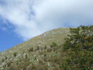 creasta fotoreporterului