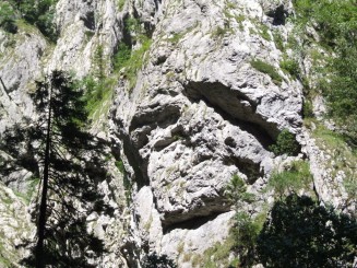 Cabana Cheia, hoinari pe munte