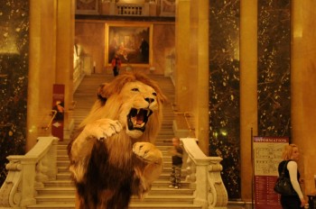 Muzeul de istorie naturala, Viena