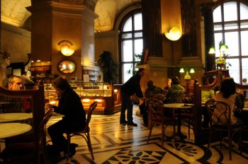 Muzeul de istorie naturala, Viena