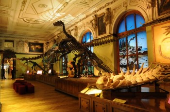 Muzeul de istorie naturala, Viena