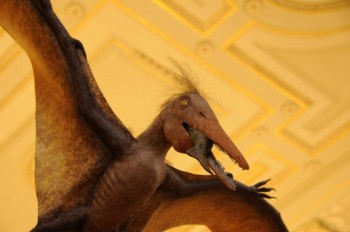 Muzeul de istorie naturala, Viena