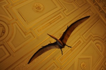 Muzeul de istorie naturala, Viena