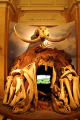 Muzeul de istorie naturala, Viena