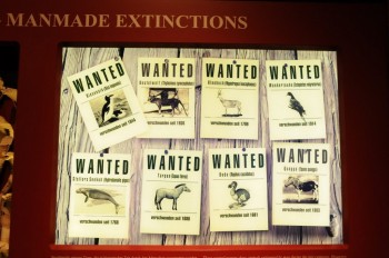 Muzeul de istorie naturala, Viena