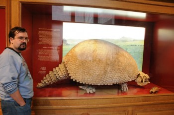 Muzeul de istorie naturala, Viena