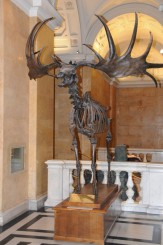 Muzeul de istorie naturala, Viena