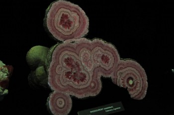 Muzeul de istorie naturala, Viena