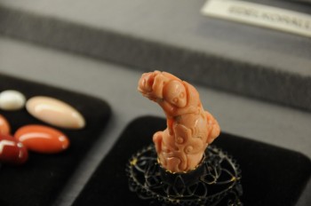 Muzeul de istorie naturala, Viena