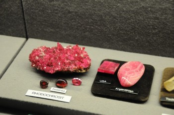 Muzeul de istorie naturala, Viena