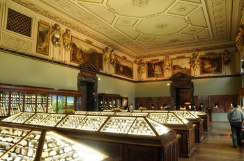 Muzeul de istorie naturala, Viena