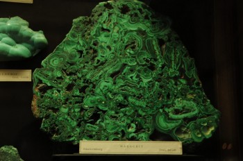 Muzeul de istorie naturala, Viena