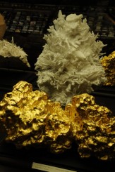 Muzeul de istorie naturala, Viena