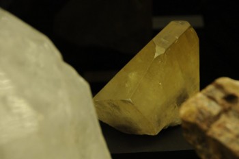 Muzeul de istorie naturala, Viena