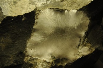 Muzeul de istorie naturala, Viena