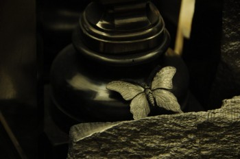 Muzeul de istorie naturala, Viena