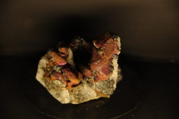 Muzeul de istorie naturala, Viena