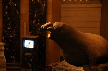 Muzeul de istorie naturala, Viena