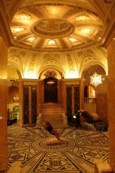 Muzeul de istorie naturala, Viena