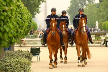 Garda republicana in gradinile Tuileries 