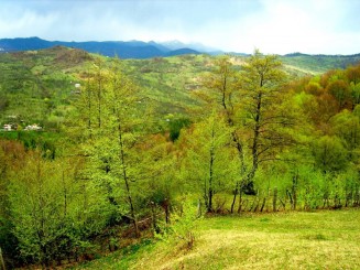 Valea Rusetu si muntii Bucegi