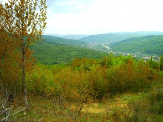 Valea Ialomitei spre Pietrosita