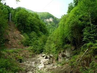 Valea Ialomitei