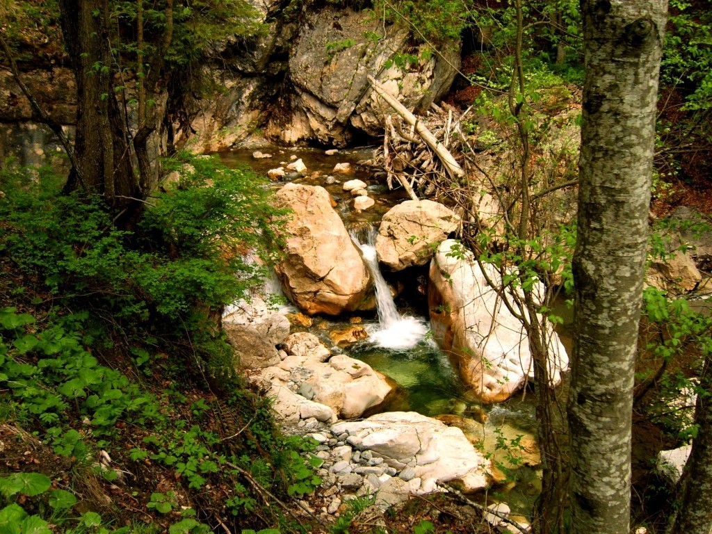 Poze Moroeni Imagini Moroeni Informații turistice Moroeni, Romania