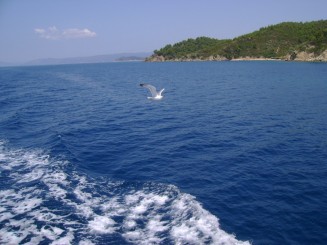 Marea Egee