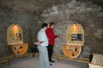 Degustare de vinuri in Budapesta