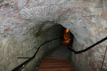 Degustare de vinuri in Budapesta