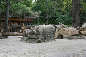 Gradina zoologica - Viena Schonbrun
